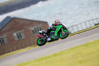PJ-Motorsport-2019;anglesey-no-limits-trackday;anglesey-photographs;anglesey-trackday-photographs;enduro-digital-images;event-digital-images;eventdigitalimages;no-limits-trackdays;peter-wileman-photography;racing-digital-images;trac-mon;trackday-digital-images;trackday-photos;ty-croes